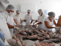 Read more about the article Tijucas realiza Seminário para adequar indústria de pescados
