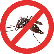 Read more about the article SMS reforça atenção após caso autóctone de dengue