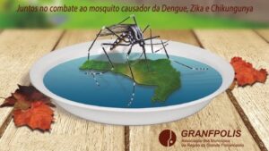 Read more about the article Calor e chuva representam maior risco de proliferação do mosquito Aedes aegypti