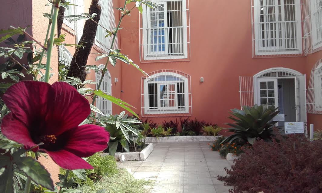 Read more about the article Jardim Botânico abre aos sábados