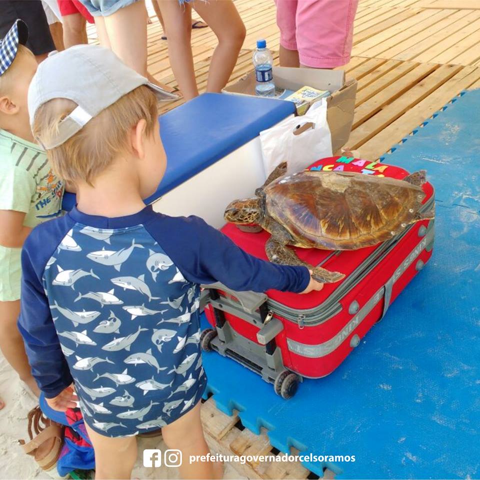 Read more about the article Educação Ambiental nas praias