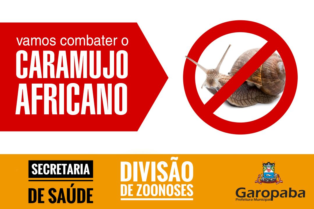 You are currently viewing ALERTA: COMBATE AO CARAMUJO AFRICANO