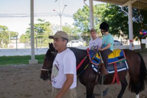 Read more about the article Cavalos resgatados das ruas estão disponíveis para doação em São José