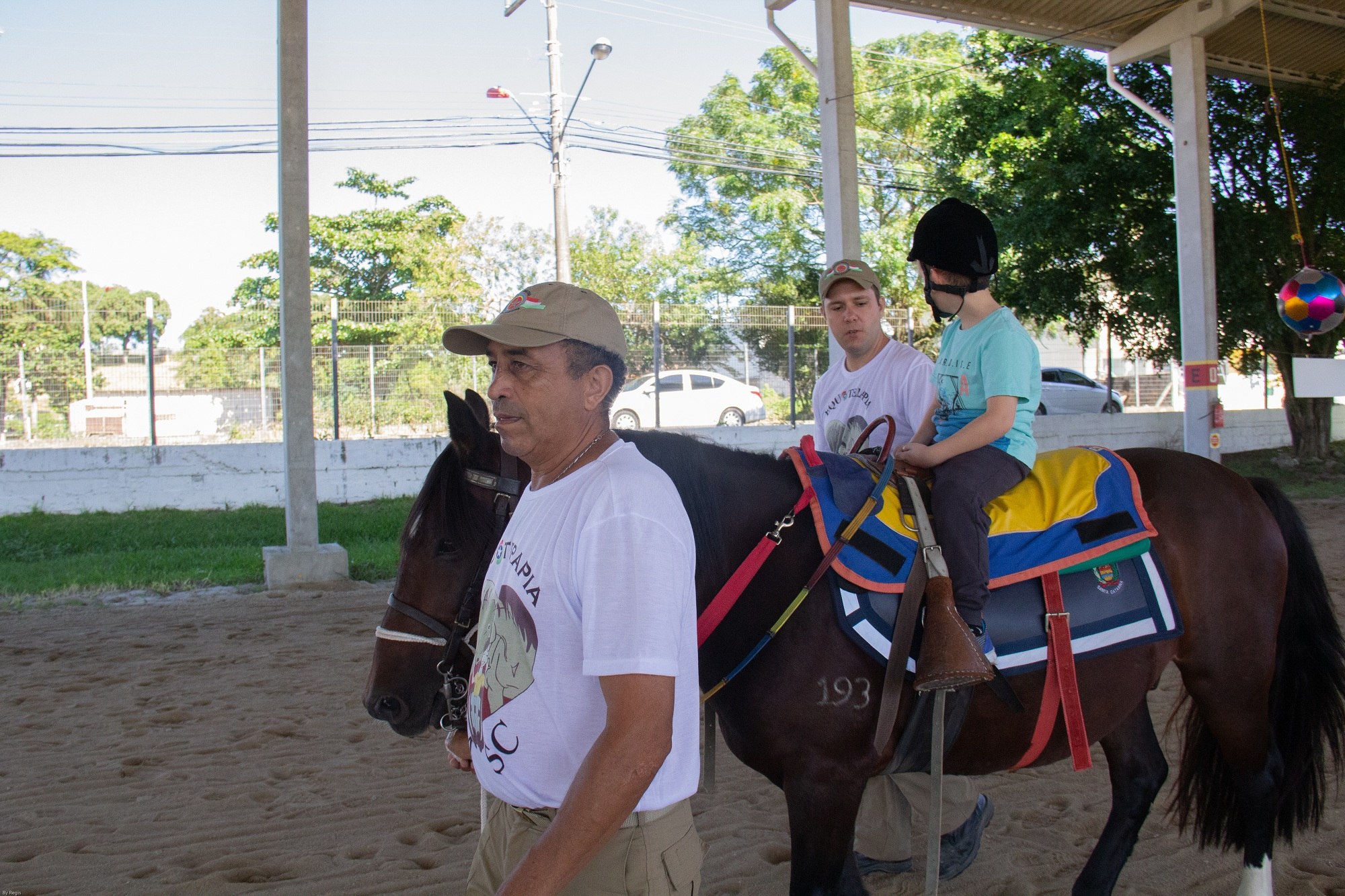 You are currently viewing Cavalos resgatados das ruas estão disponíveis para doação em São José