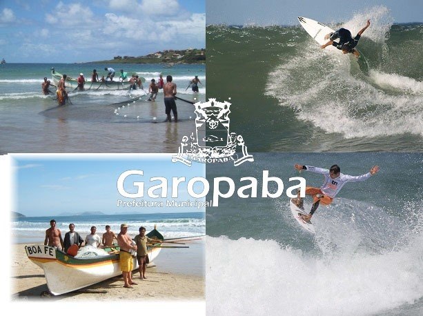 Read more about the article Saiba como ficou o acordo da pesca da tainha & prática do surf em Garopaba