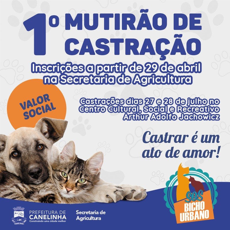 Read more about the article Canelinha realiza 1º Mutirão de Castração de cães e gatos