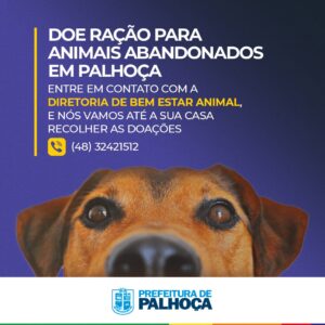 Read more about the article Palhoça faz campanha para arrecadar ração para animais de rua