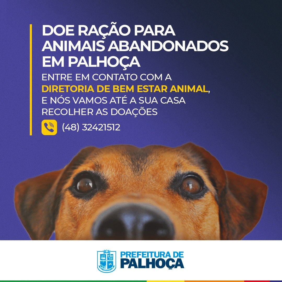 Read more about the article Palhoça faz campanha para arrecadar ração para animais de rua