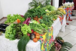 Read more about the article Secretaria de Educação realiza levantamento para distribuir alimentos da merenda escolar produzidos pela agricultura familiar