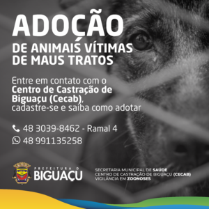 Read more about the article Vigilância de Zoonoses e Centro de Castração de Biguaçu criam cadastro para adoção de animais resgatados de situação de maus tratos