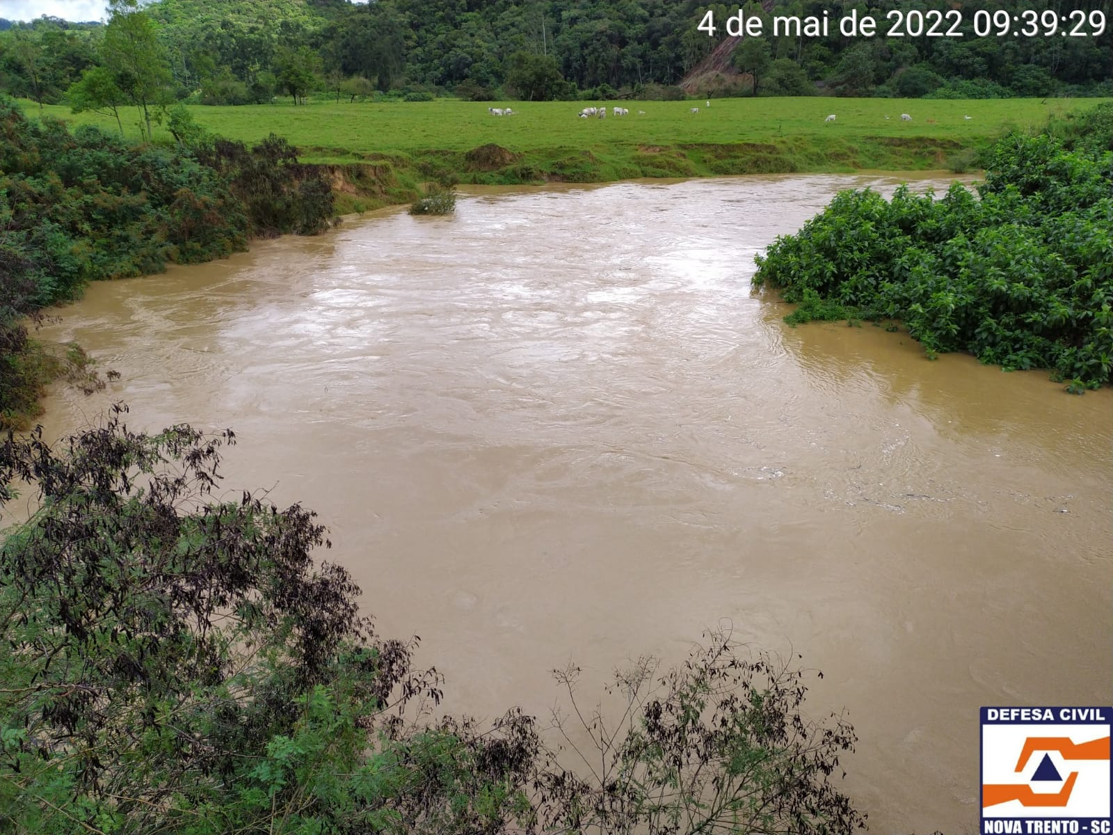 Read more about the article Nível do Rio do Braço chega a três metros em Nova Trento